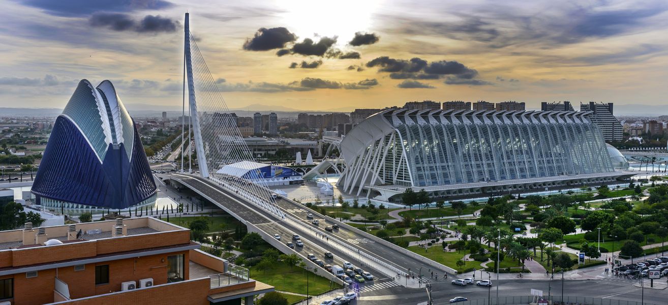 vista museo della arti e della scienza valencia calatrava